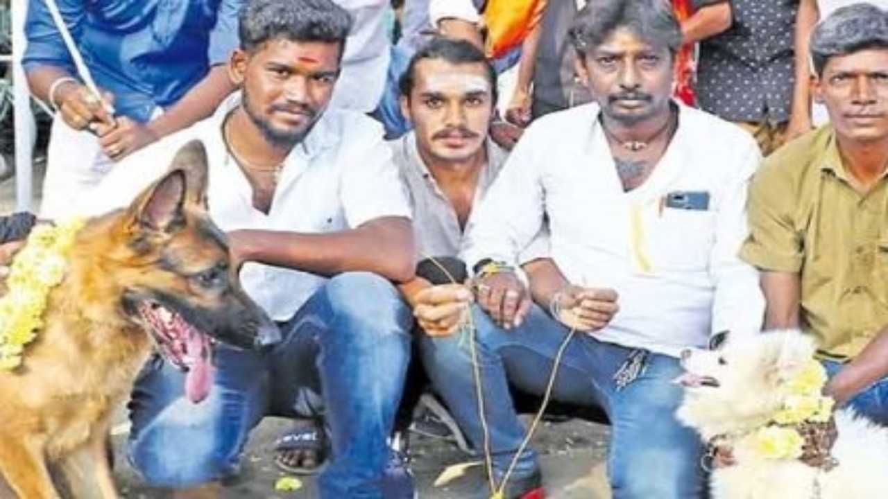 Coimbatore: Bharat Sena members get dogs married condemning Valentine's Day
