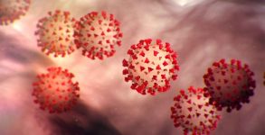 Another pandemic on radar? Doctor who helped discover Ebola virus warns of Disease X