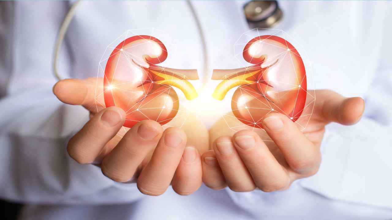 World Kidney Day 2020: Here are 8 best ways to keep your kidneys healthy