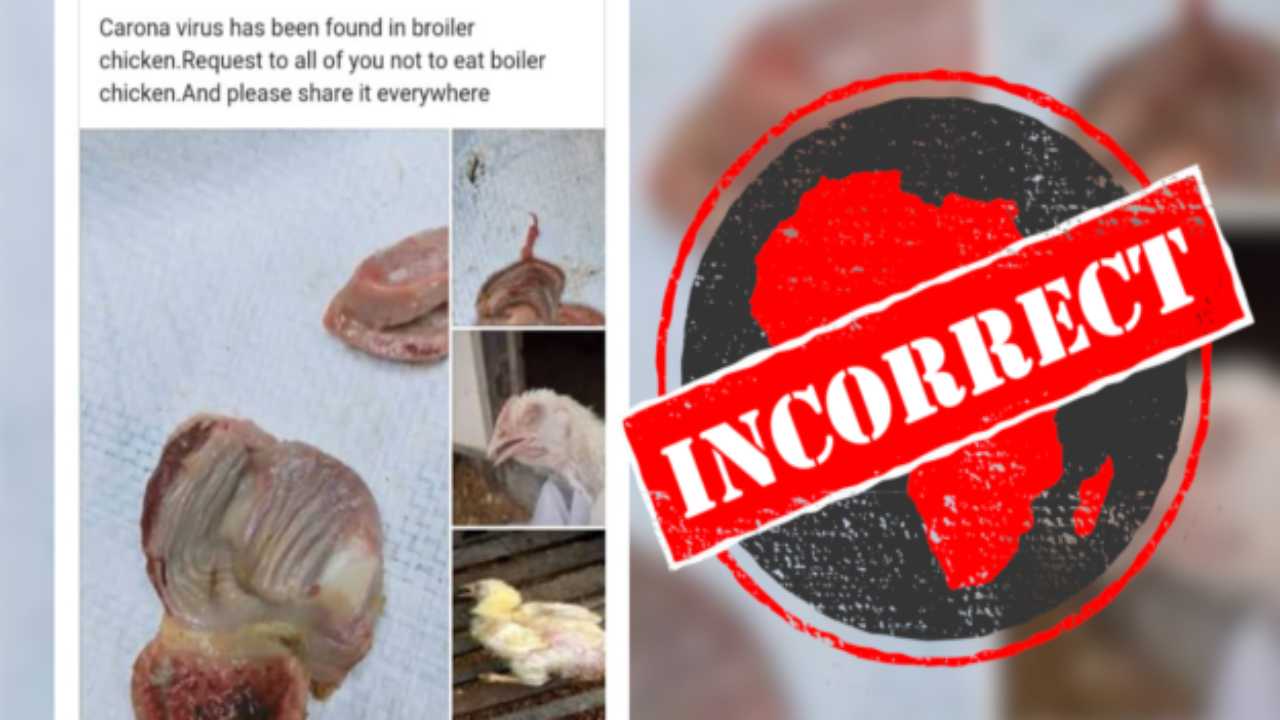 Fact Check: Here's truth behind viral claim of getting COVID-19 from eating chicken, mutton