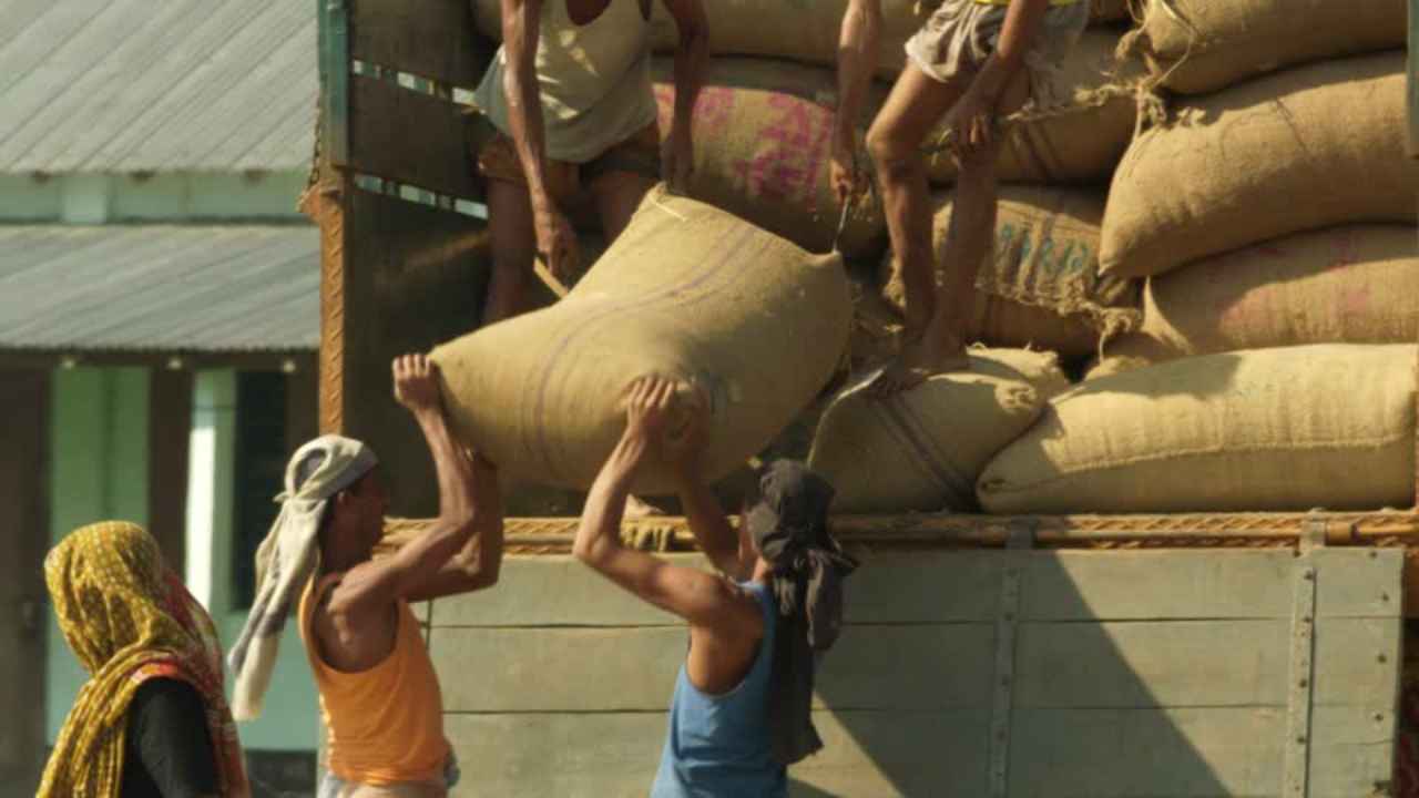 Sri Lanka imports 600,000MT of substandard rice due to flawed chemical fertiliser ban: Minister