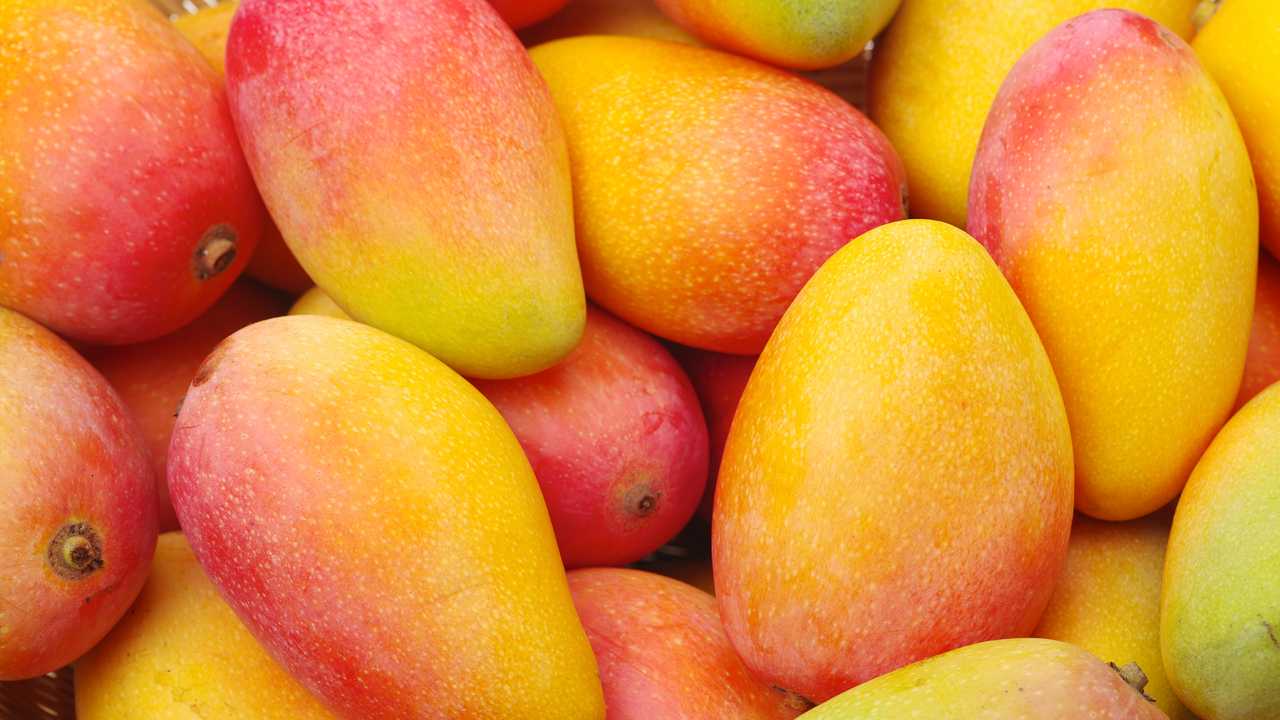 Consumption of mango has positive health outcomes, says study