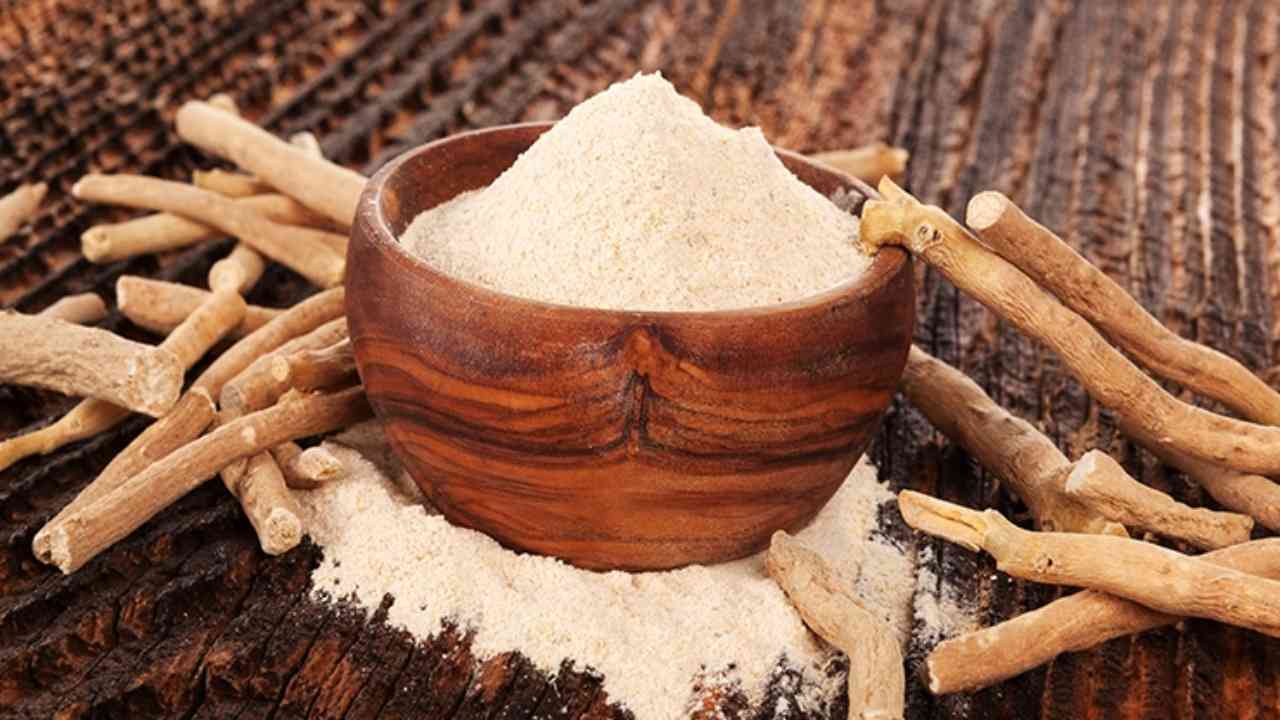 Ashwagandha can help fight COVID-19: Know how Ayurvedic herb can reduce lung inflammation