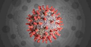 Coronavirus Outbreak: Global Covid-19 cases top 30.6mn, Johns Hopkins data states