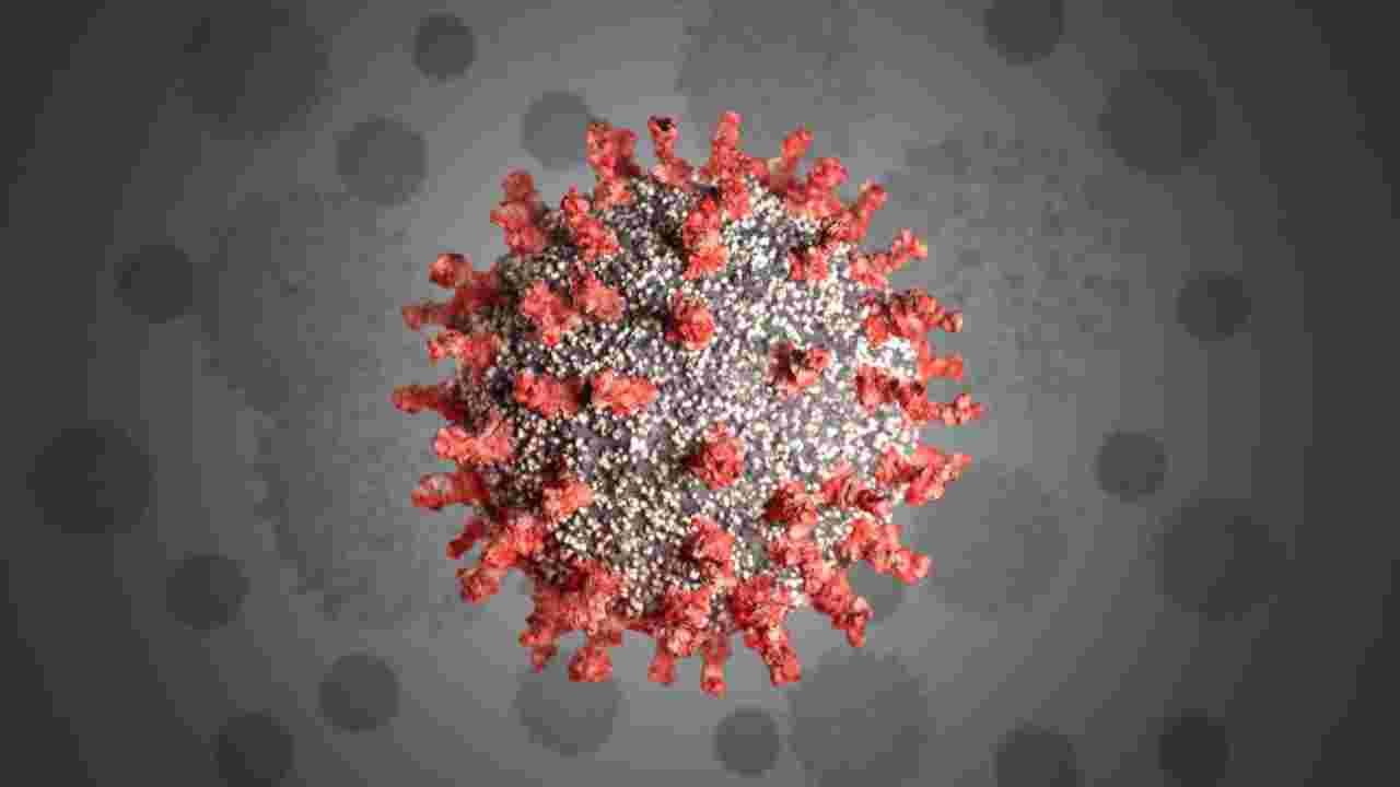 Coronavirus Outbreak: Global Covid-19 cases top 30.6mn, Johns Hopkins data states
