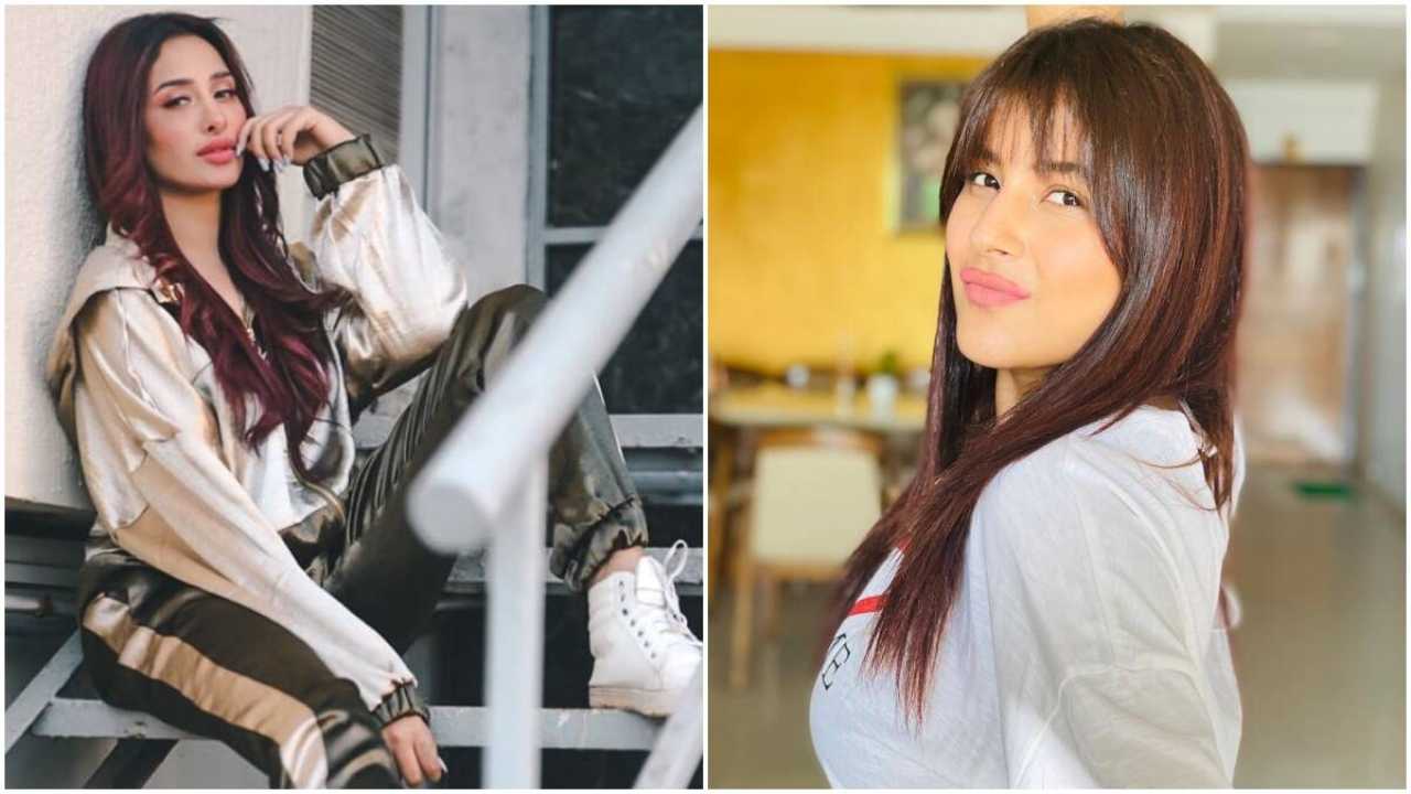 BB 13 fame Mahira Sharma to approach cyber cell over Shehnaaz Gill's fans trolling her