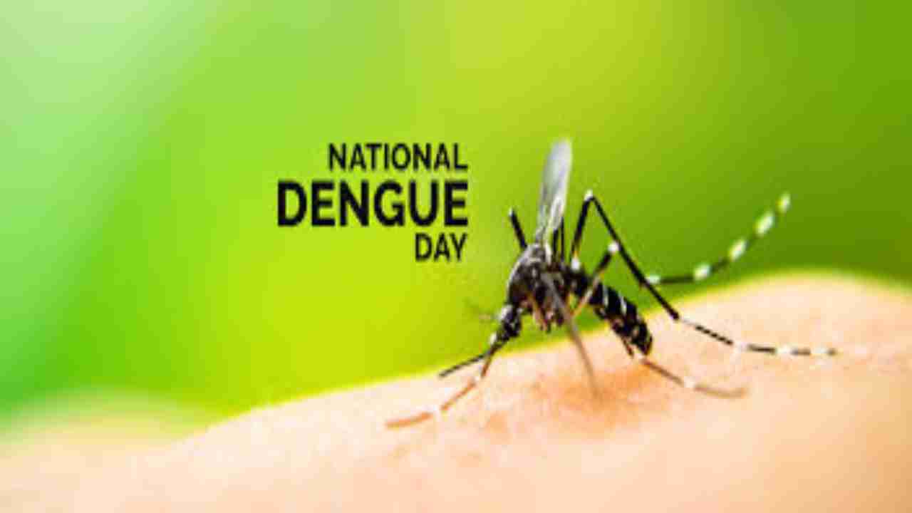 National Dengue Day 2020: Causes, symptoms, prevention and diagnosis of  dengue