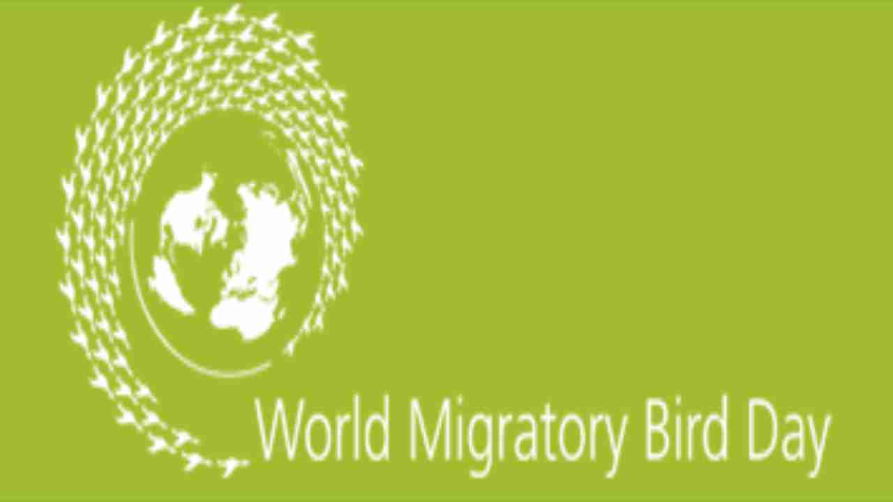 World Migratory Bird Day 2020: Theme, Top 10 migratory birds coming to India