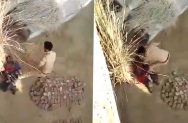 Watch: UP police constable mercilessly thrashes man in Etawah, suspended
