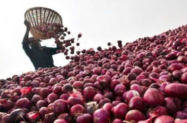 Gujarat: Saurashtra farmers fail to sell onions; Congress buys and distributes it for free