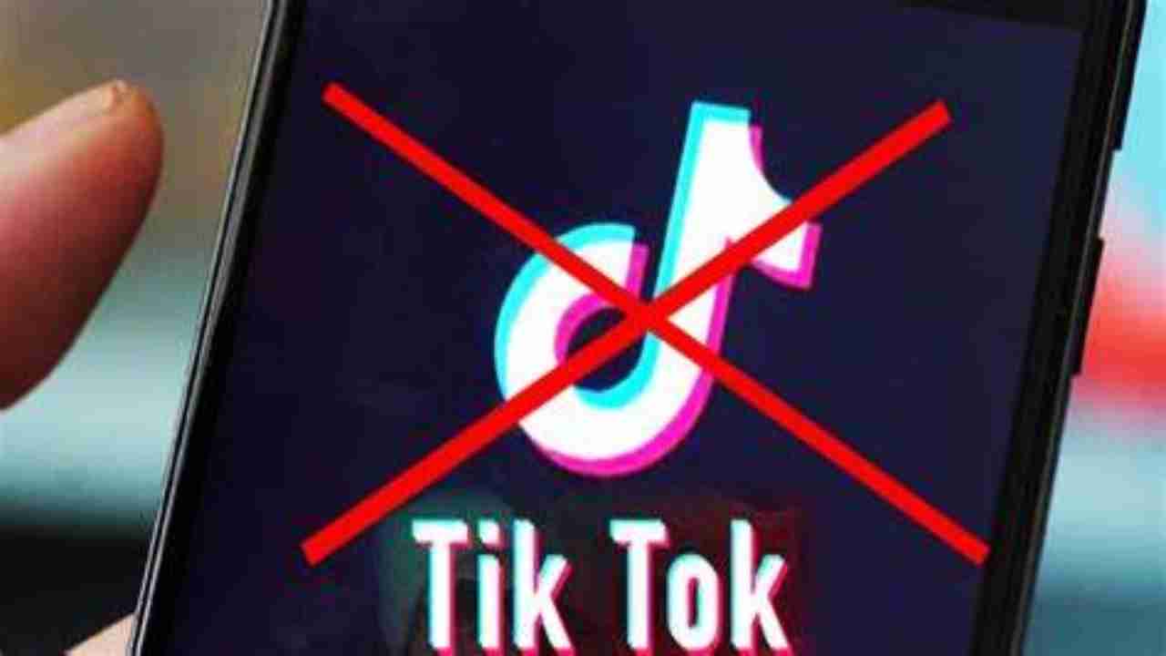 Experts predict US ban against TikTok as wake-up call