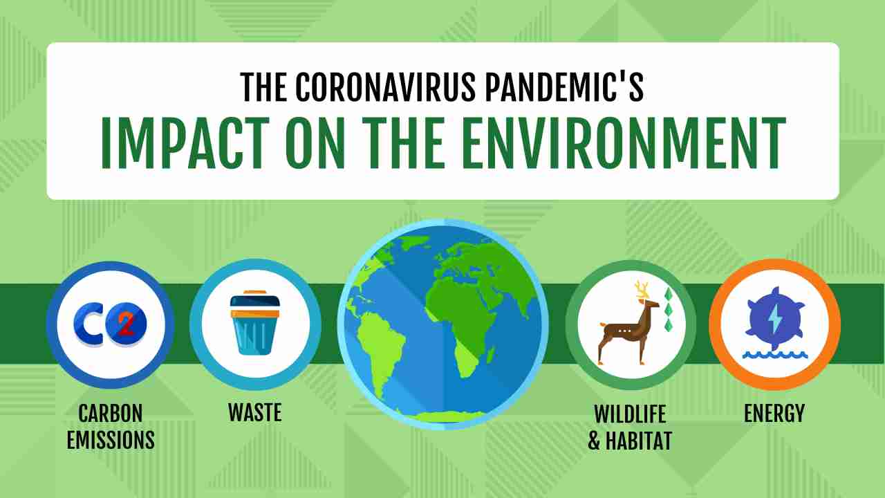 World Environment Day 2020: Impact of coronavirus on environment