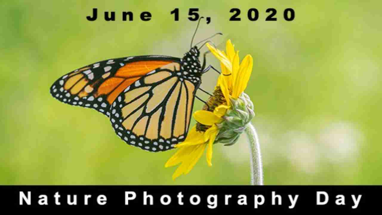 Nature Photography Day 2020: History, celebrations, 5 best cameras for beginners