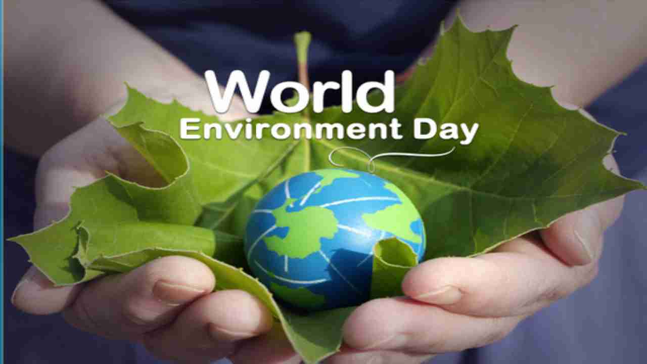 World Environment Day 2020: History, theme, biodiversity and humans