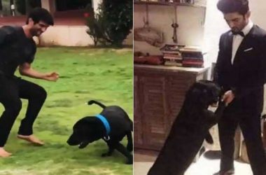 Fact Check: Truth behind viral claim of Sushant Singh Rajput's dog Fudge passing away in actors' grief