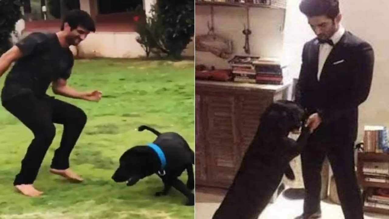 Fact Check: Truth behind viral claim of Sushant Singh Rajput's dog Fudge passing away in actors' grief