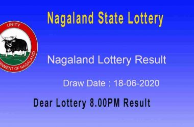 Nagaland Lottery Sambad July 9: Dear Falcon evening results by 8 PM
