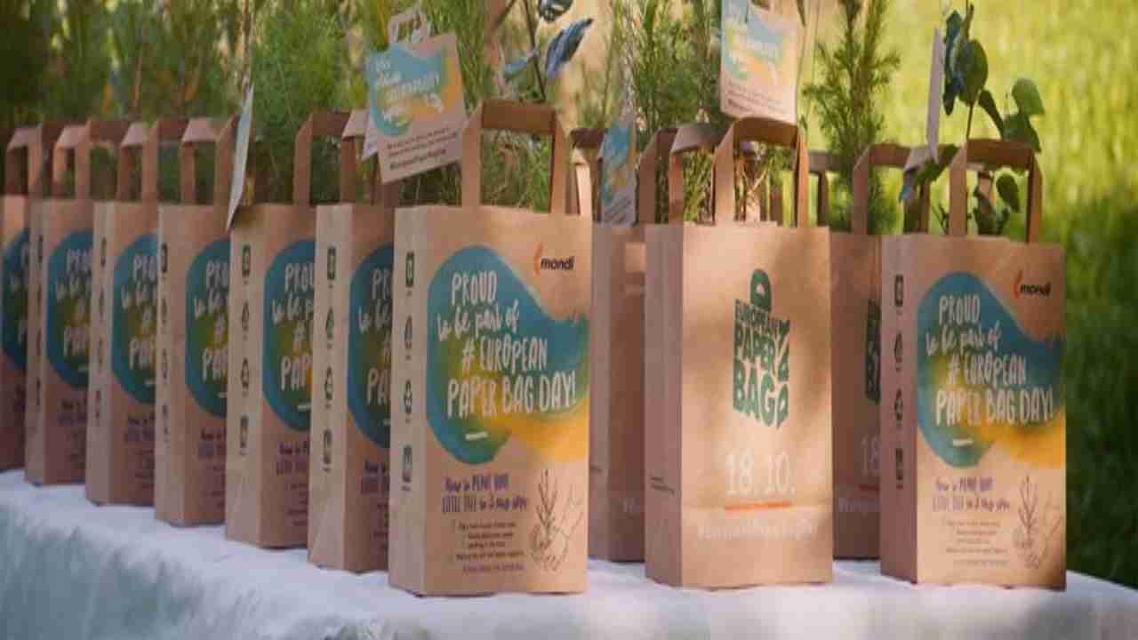 Paper Bag Day 2020: Unusual facts about environment-friendly bags you must know