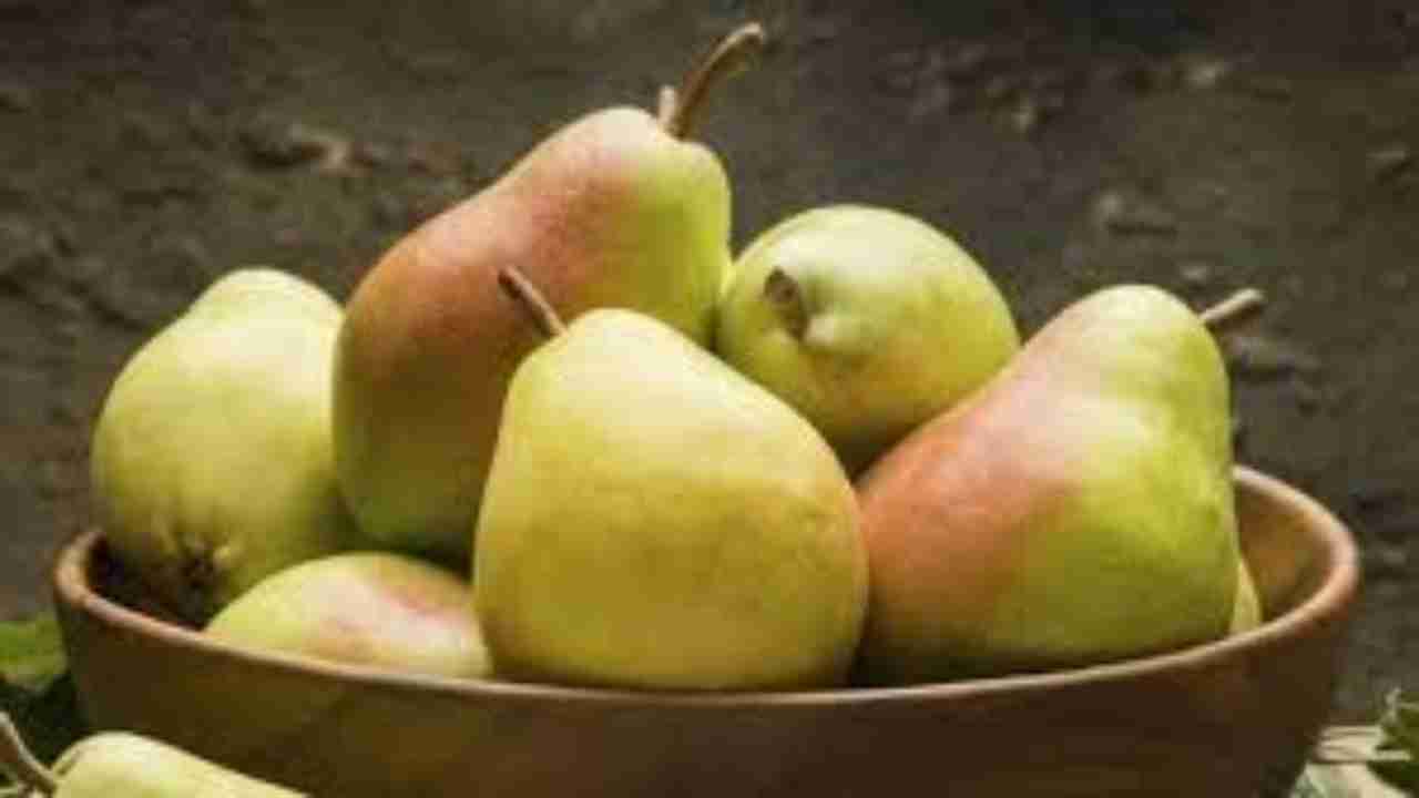 Pears(Nashpati) Health Benefits: From improving blood circulation to preventing Osteoporosis, here's why you need to consume Nashpati