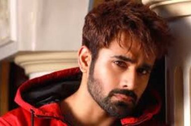 Bigg Boss 14: TV heartthrob Pearl V Puri gets an offer of whopping 5 crores, deets inside!
