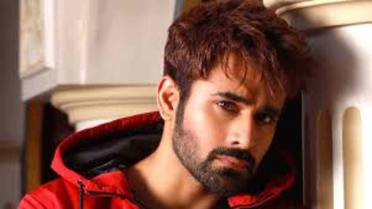 Bigg Boss 14: TV heartthrob Pearl V Puri gets an offer of whopping 5 crores, deets inside!