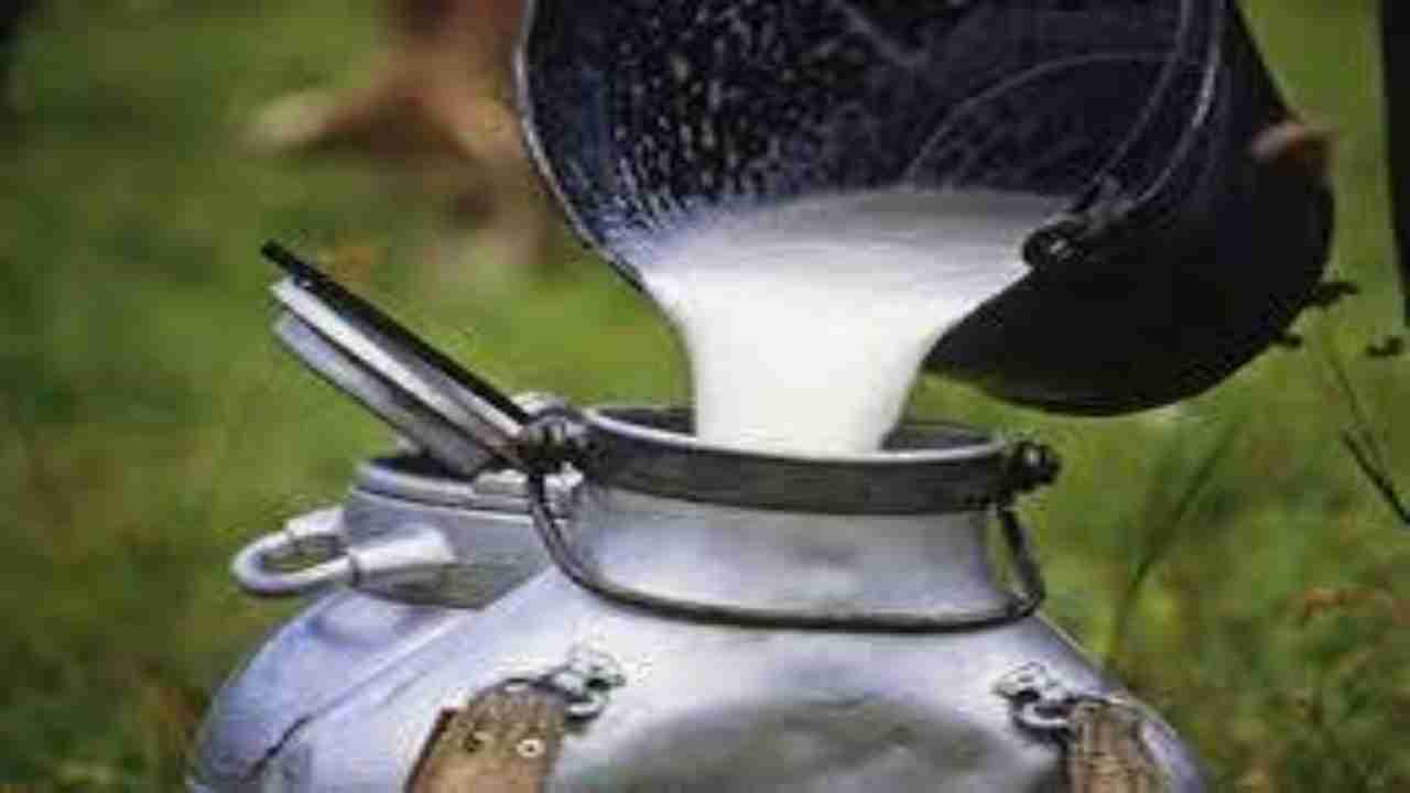 This Maharashtra village doesn’t sell milk, but distributes it for free of cost, Here's Why