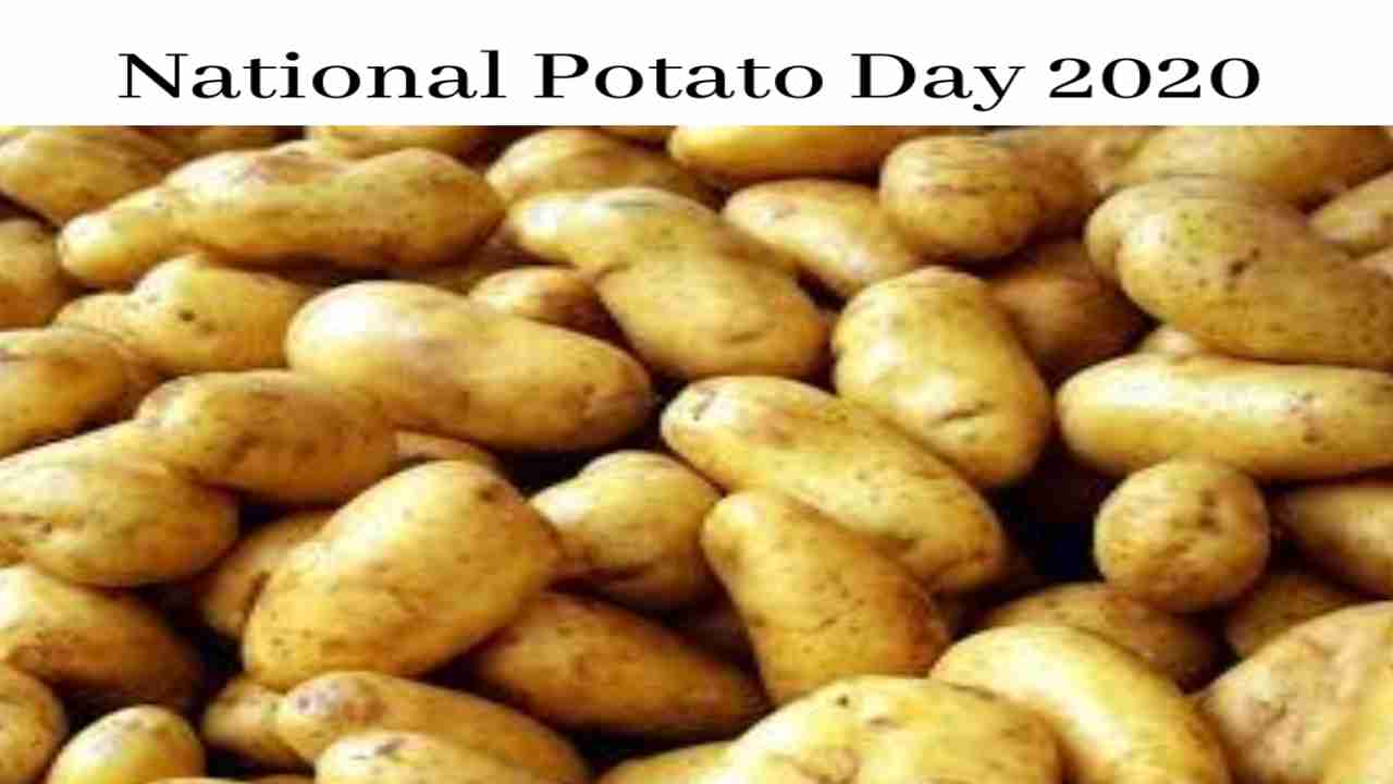 National Potato Day 2020(US): From mashed potatoes to wedge fries, check out 5 finger-licking recipes you must try
