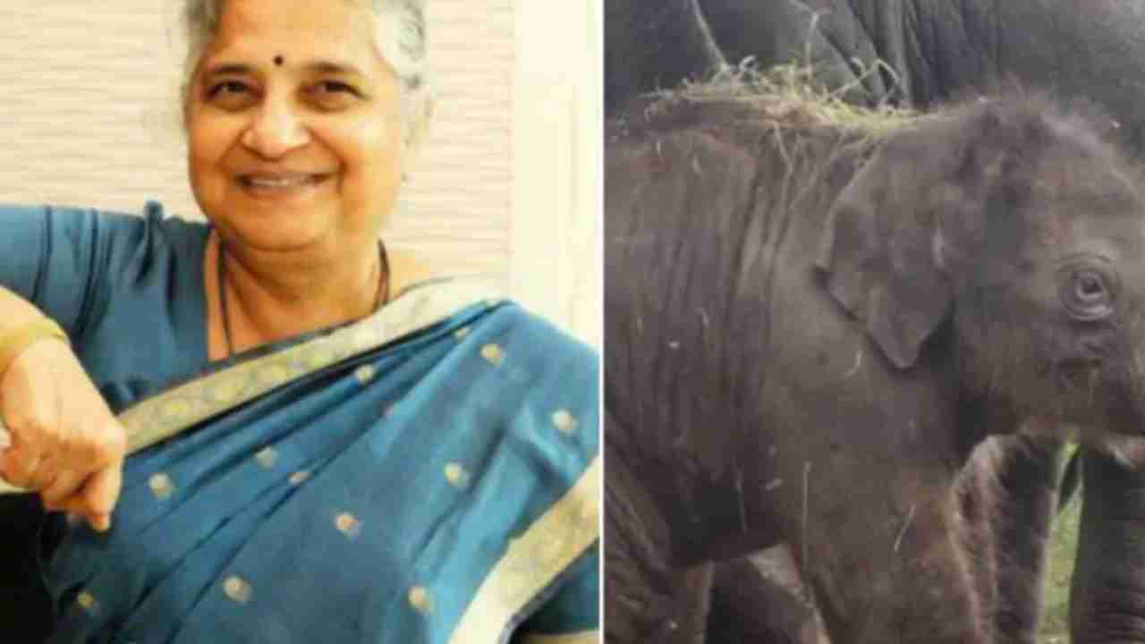 Bengaluru Zoo names elephant calf after Sudha Murthy