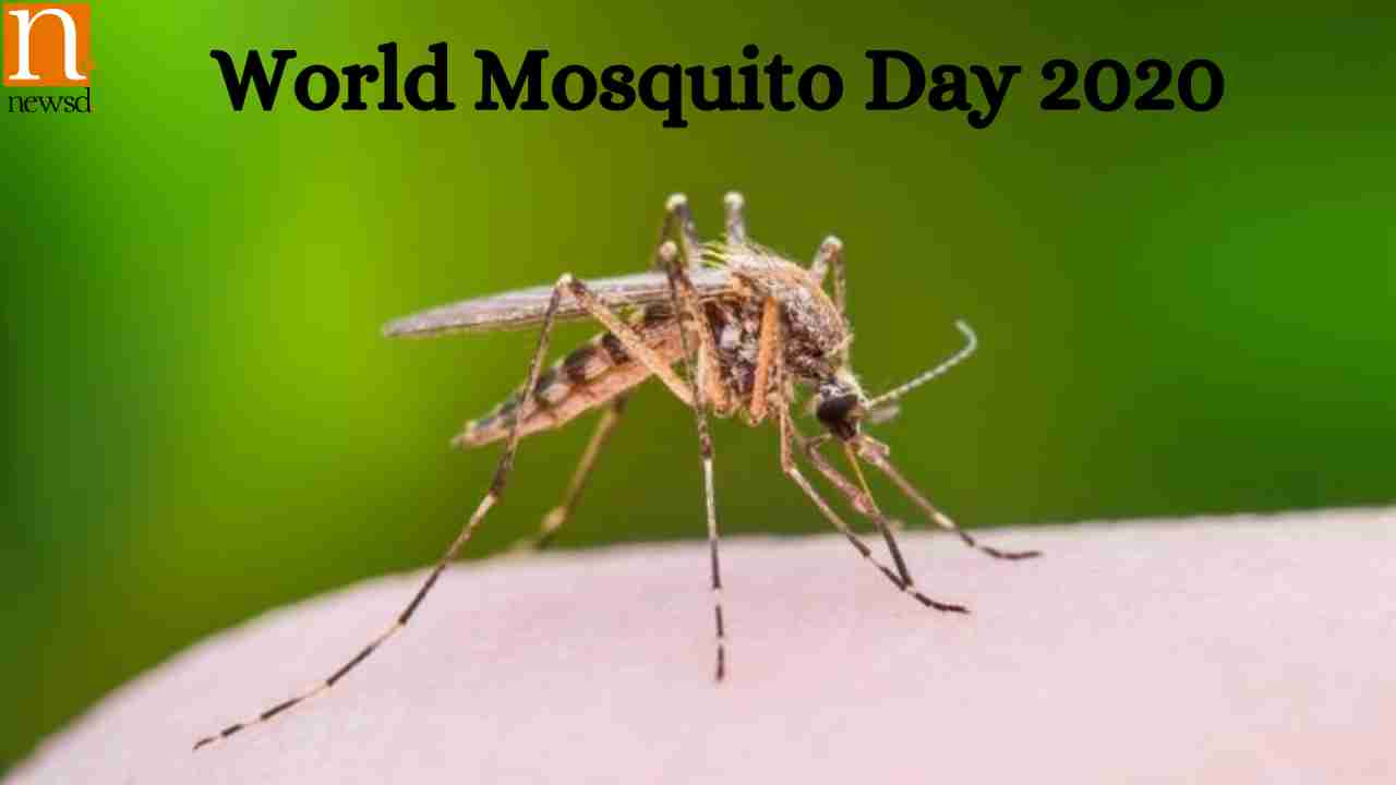 world mosquito day speech