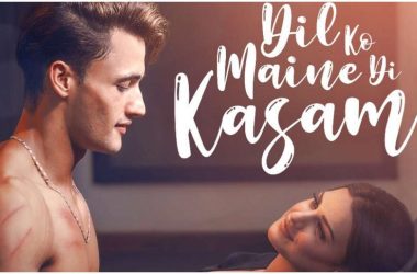 Dil Ko Maine Di Kasam song: Asim Riaz & Himanshi Khurana goes extra mile in love