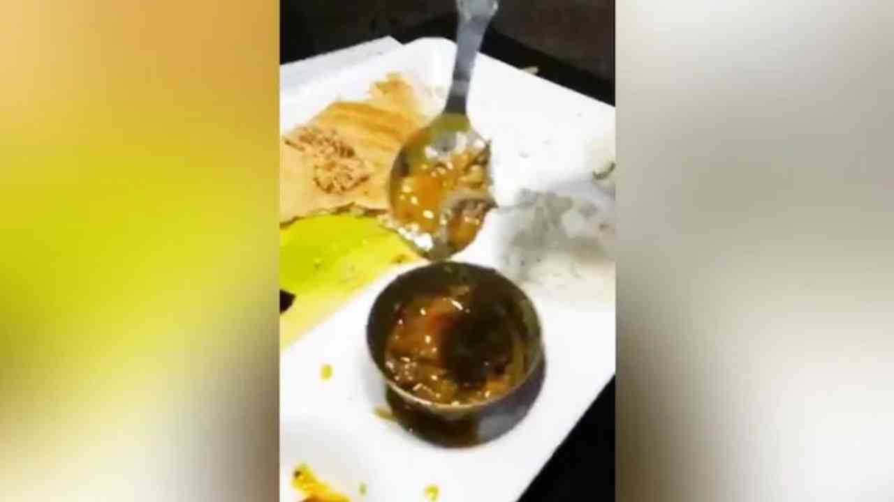 Man stuns after he finds lizard in sambar at a top Delhi restaurant; FIR lodged