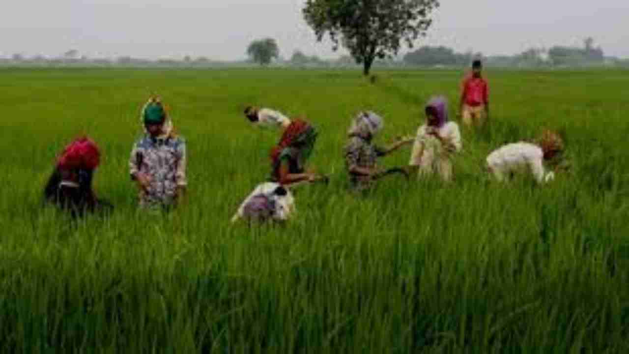 Farm Bills: #25Sep5Baje25Minute trends on Twitter, netizens demand 'Bharat Bandh'