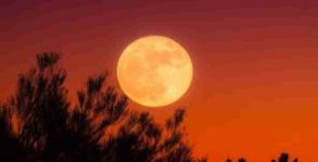 Harvest Moon 2020: Everything you need to know about full moon in October