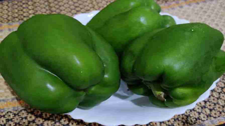 Check out some amazing health benefits of Capsicum