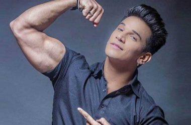 Bigg Boss 14: Prince Narula to enter along with Sidharth, Hina and Gauahar as mentor? find out!