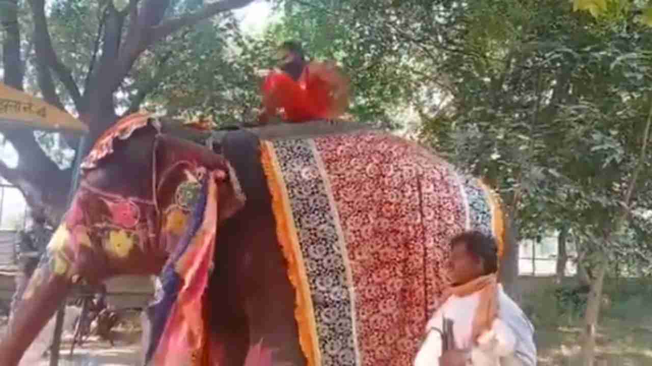 Watch: Baba Ramdev loses balance while performing Pranayam on elephant