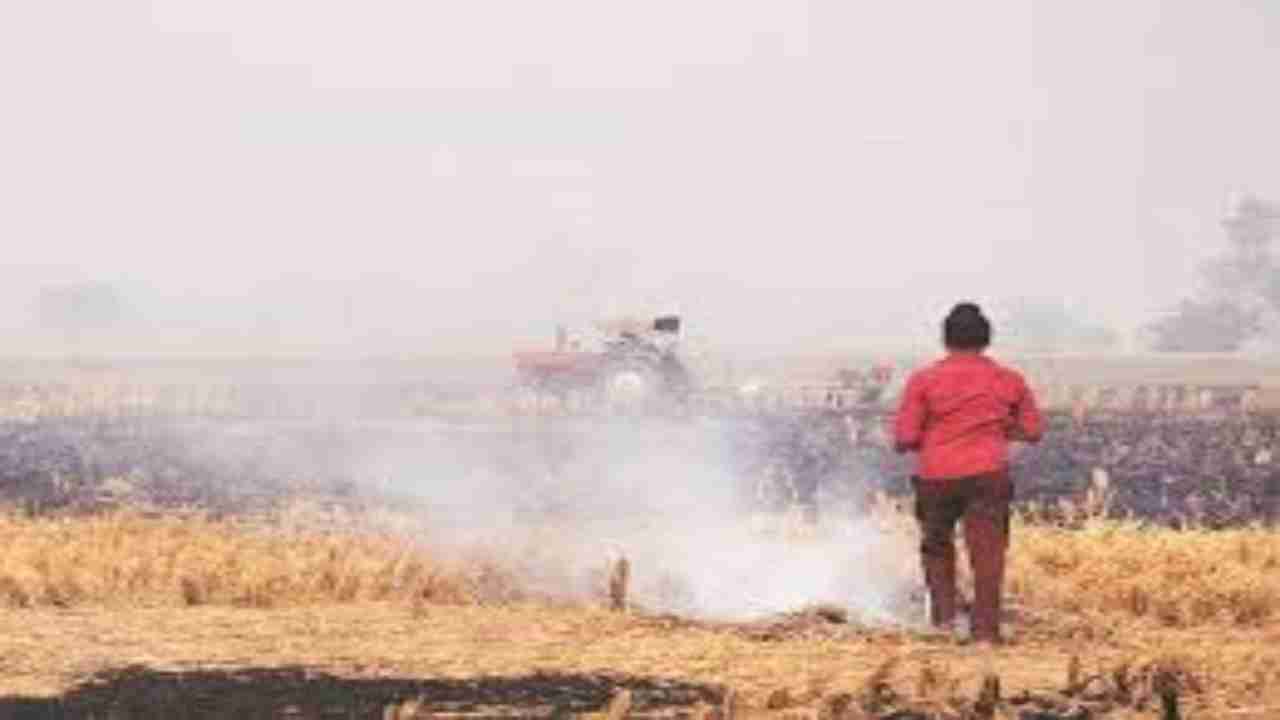Stubble burning role in Delhi's foul air to be lesser this year, claims CPCB