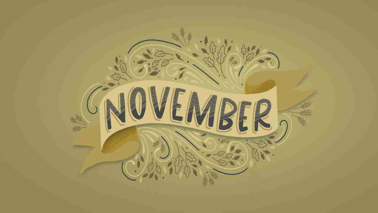Important international and national days of November 2020