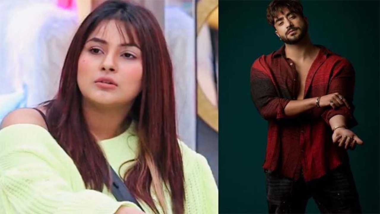 Bigg Boss 14: Aly Goni feels Shehnaaz Gill should have been sent into house instead of Gauahar Khan