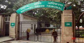 UP to comply with NGT orders on firecrackers