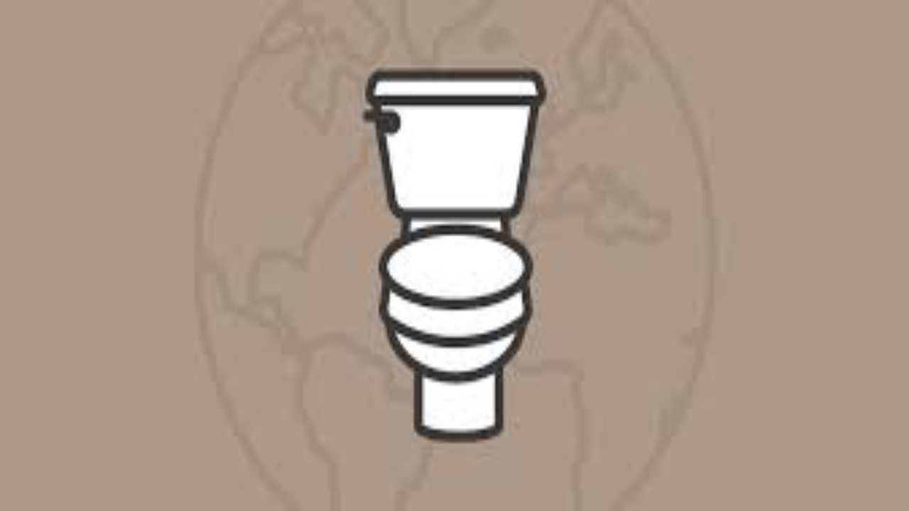 World Toilet Day 2020: Date, theme and significance of the day