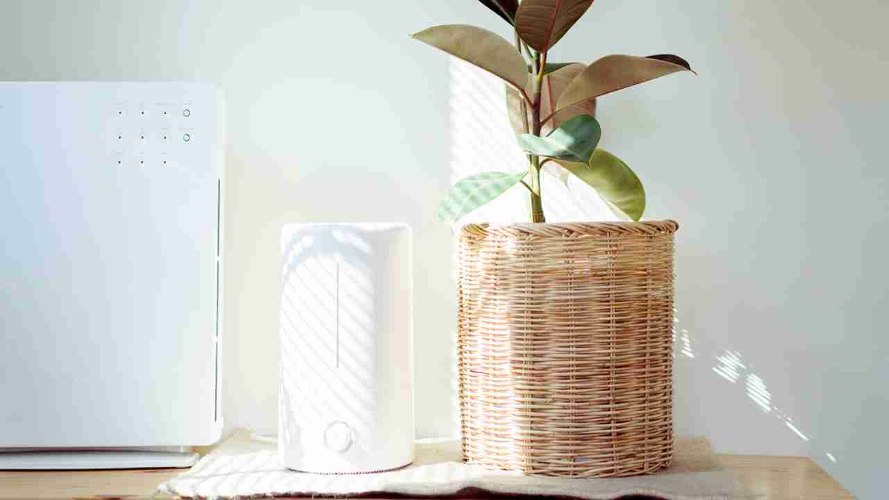 Air Pollution: Top 5 air purifiers you can buy in India
