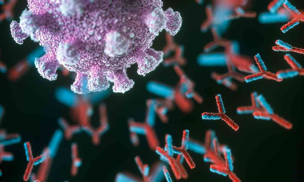 Covid antibodies persist at least 9 months after infection: Study