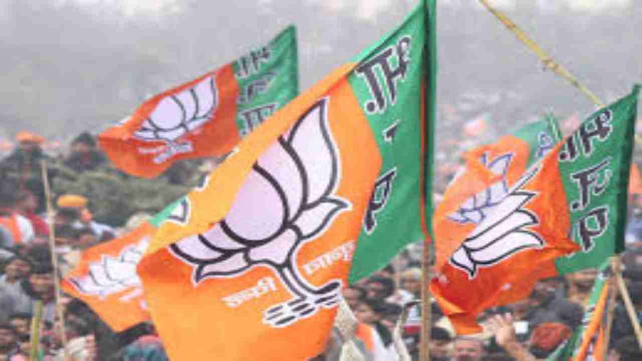 Maharashtra MLC bypolls: BJP's Amrishbhai Patel wins Dhule-Nandurbar seat against MVA alliance