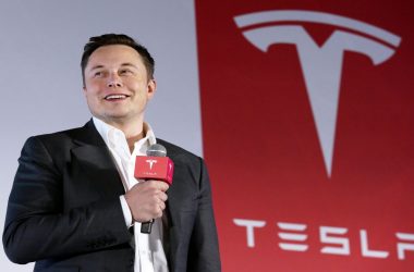 Tesla elon Musk India