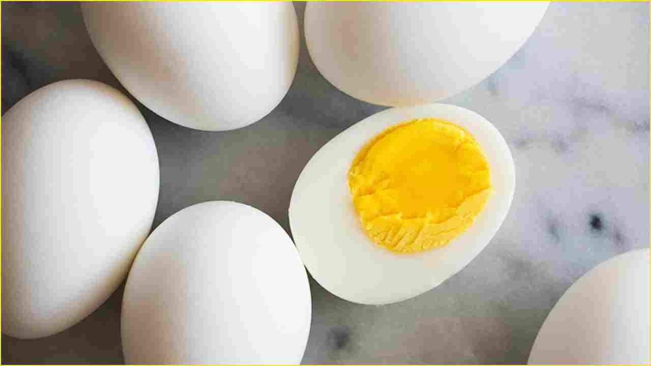 Bird Flu scare: Egg and Chicken price fall by Rs 80 in Punjab
