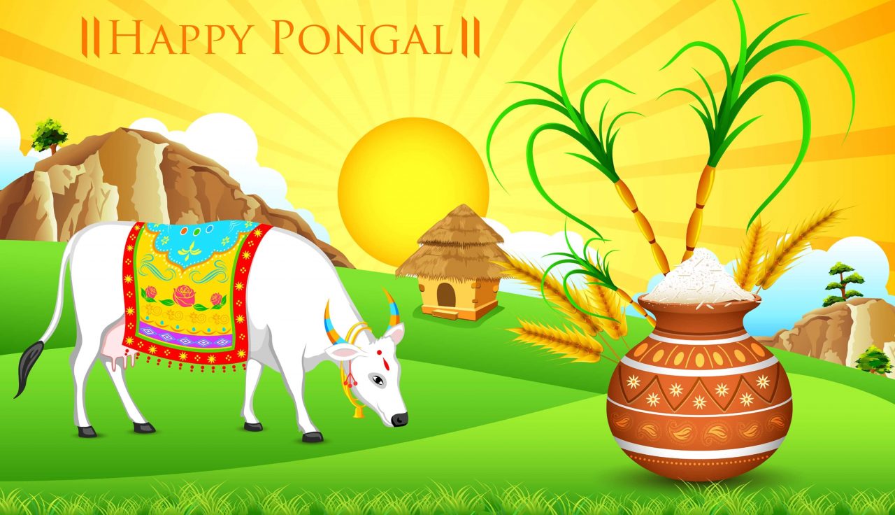 Happy Pongal 2021 Wishes, Messages, Quotes, Greetings, Images