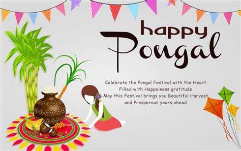 Happy Pongal 2021: Wishes Messages Greetings