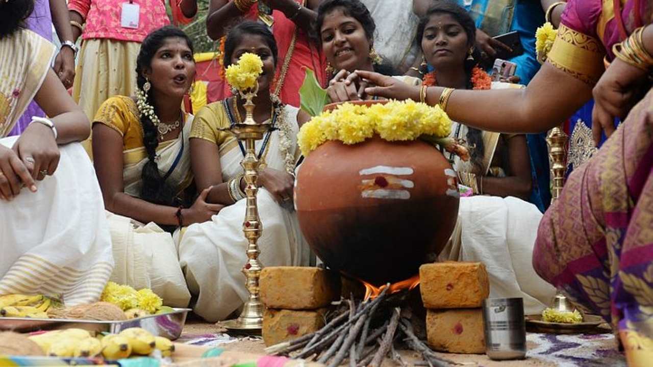 Happy Pongal 2021: Wishes Messages Greetings Pongal 2021: Below are the Wishes, Messages, Quotes, Greetings, Images, WhatsApp & Facebook Status to share  
