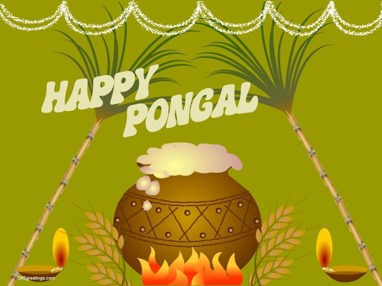 Happy Pongal 2021: Wishes, Messages, Quotes, Greetings, Images, WhatsApp &  Facebook Status to share